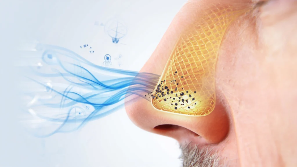 Nasal Functions Air Filtration Breathing