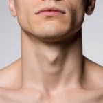 Pharynx anatomy