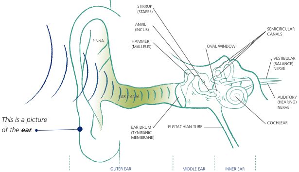Sound path through ear anatomy